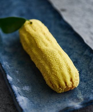 Lemon Flavoring Filling - Philibert Savours Inc TooFruit Citron Lemon - 1.1 lb Carton