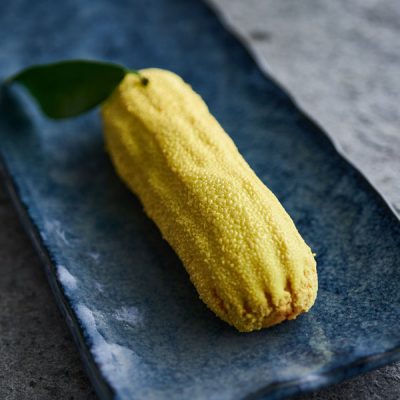 Lemon Flavoring Filling - Philibert Savours Inc TooFruit Citron Lemon - 1.1 lb Carton