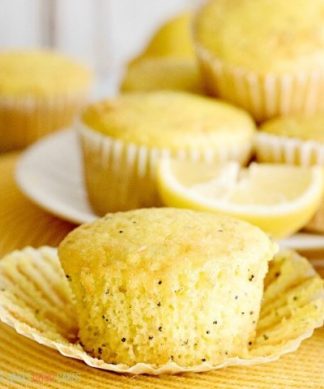 Bear Stewart - Chocolate Chip Muffin Batter - 9 lbs